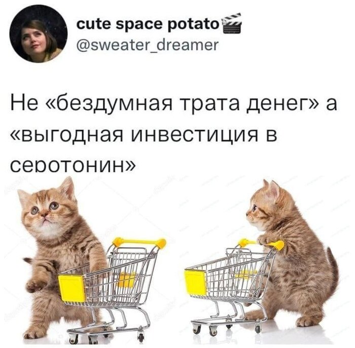  , ,   , , , , , ,   , , ,  , , , Telegram ()