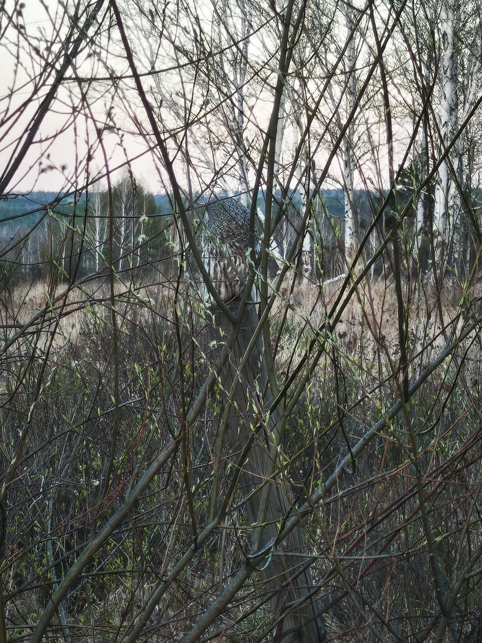 Немного отвернулась