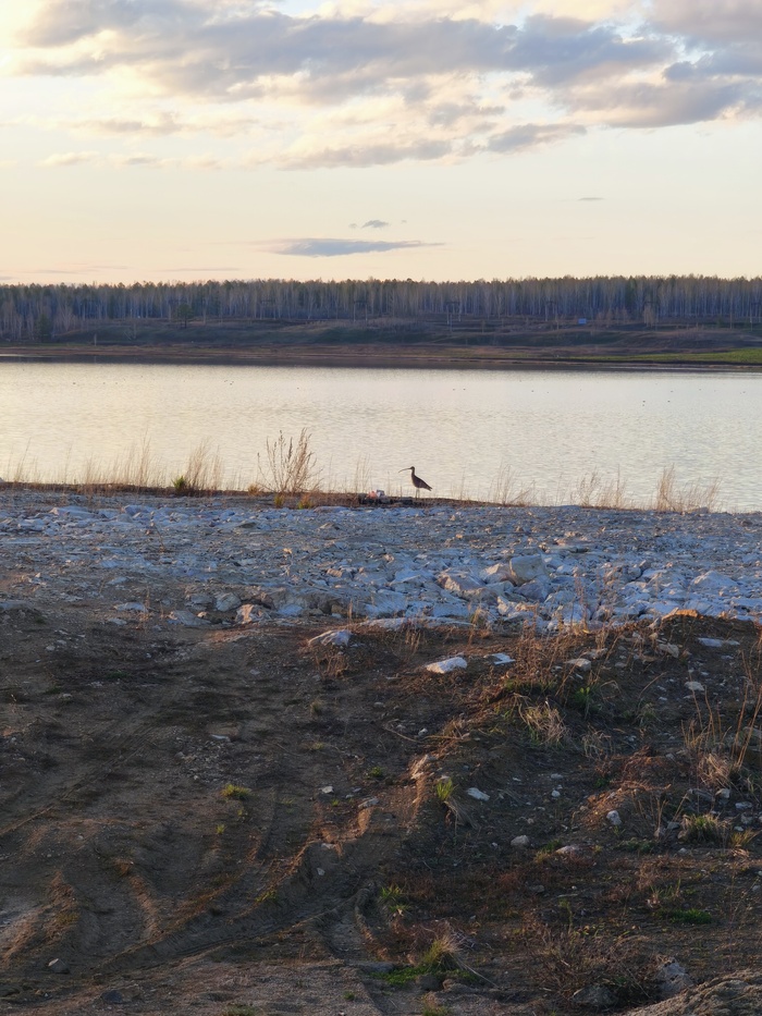 Стоит вдалеке