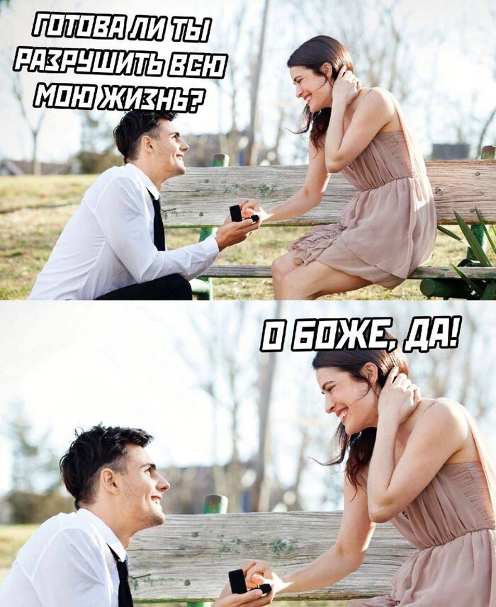  ,   , ,   ,   , Telegram ()
