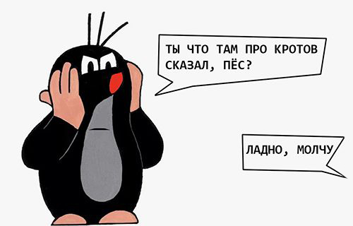    .    -  , , , , AliExpress, 