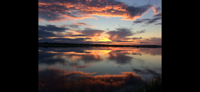 ������ �������� �����