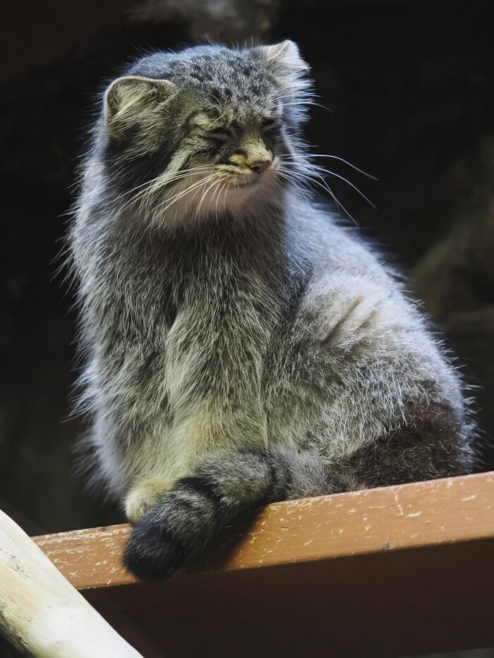 Держимся, просыпаемся...