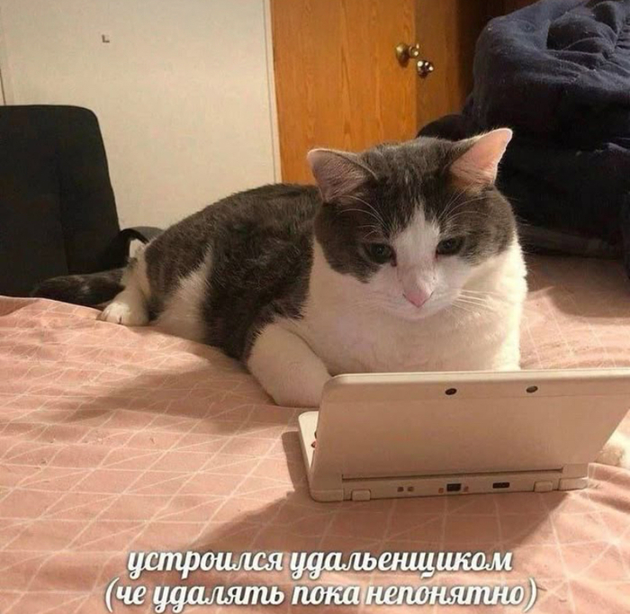 ?