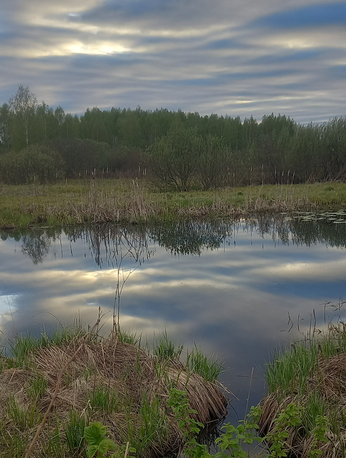 ����� ������.