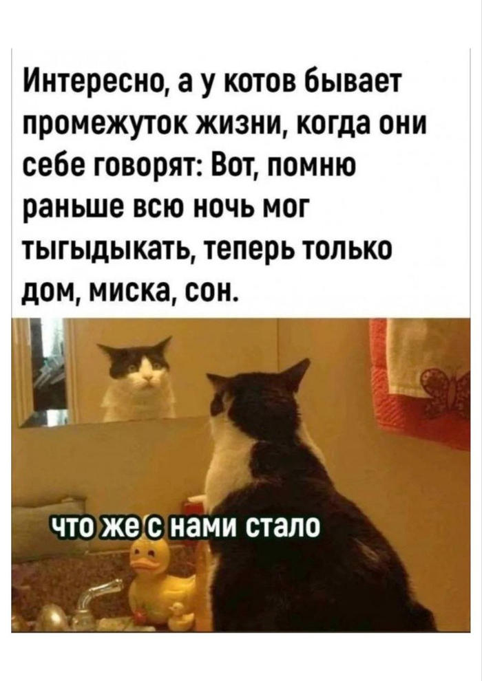 ��� �� � ���� �����...