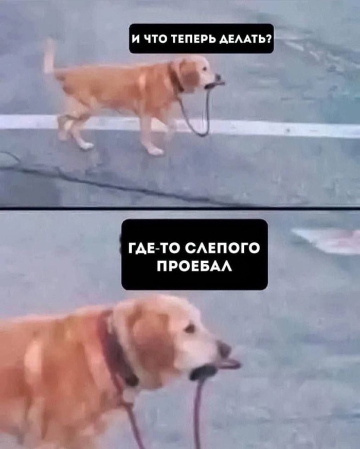  ,  ,   , , , 