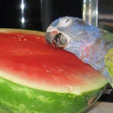      ,  ,   ,  