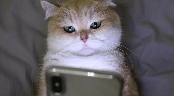 Ну и куда ты полез с утра, иди умывайся!