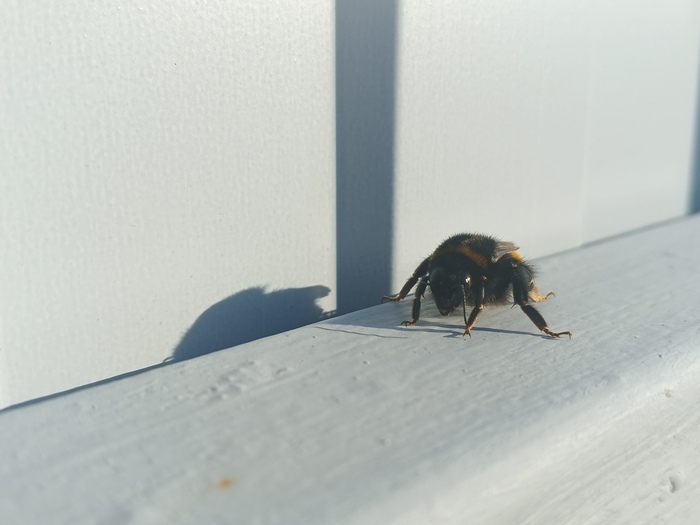     , ,  , , , , , , 
