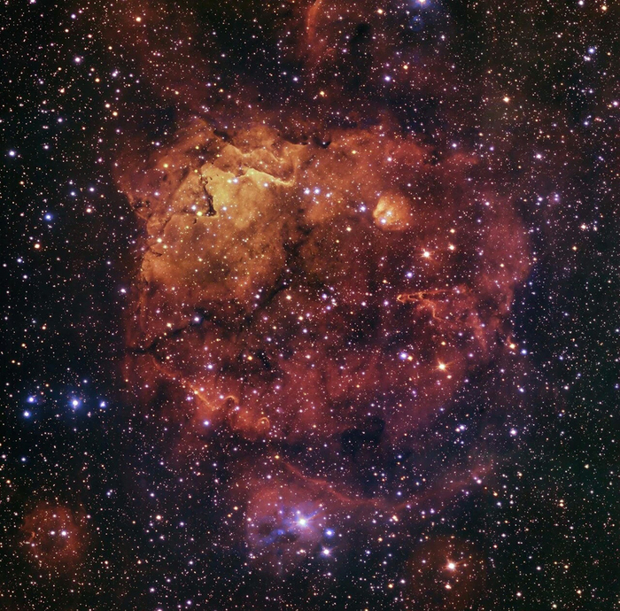 Туманность "Дикая кошка".