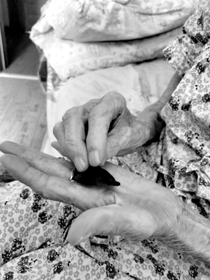 Автор фото Вероника Плеханова