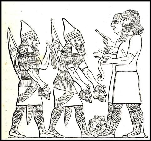    ,  (),  , , 
