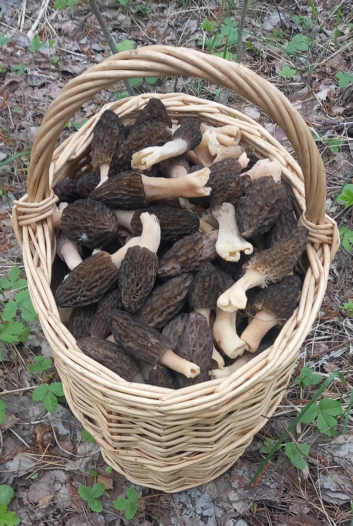 � ������ ��������� ������ ����� ���� ��������� ������� �� ����, ��� � � ������.