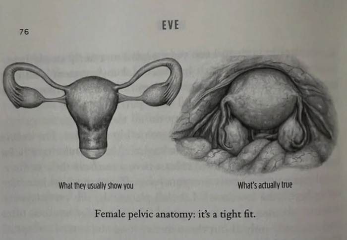        , , 