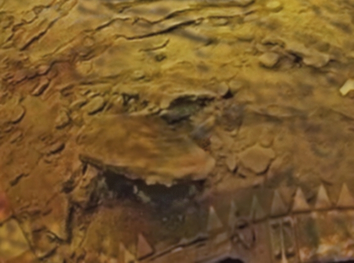 Новое открытие: «Рогатая субстанция». Снимок обработан с помощью ИИ.