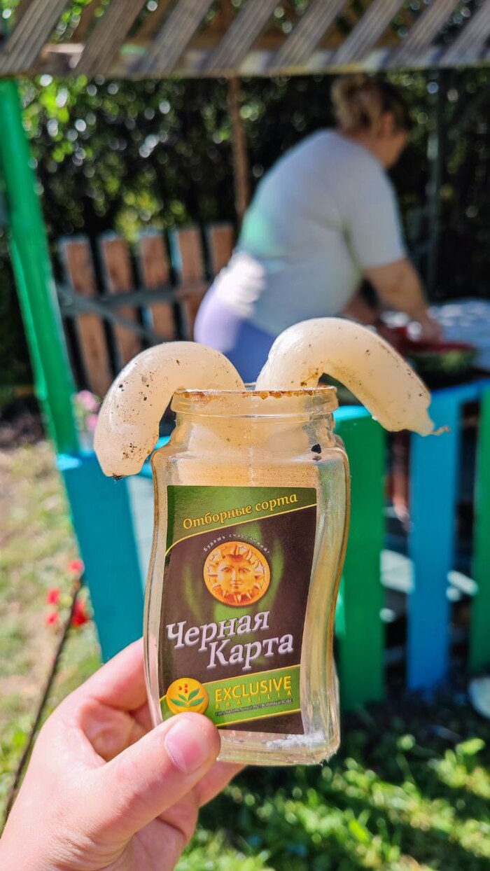        , , , ,   