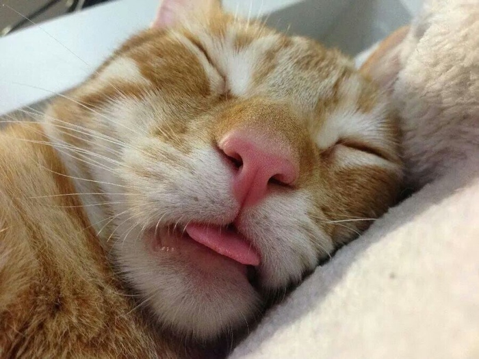    , , , , 
