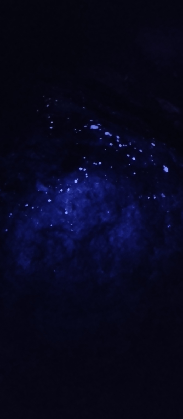    ? , , , , 