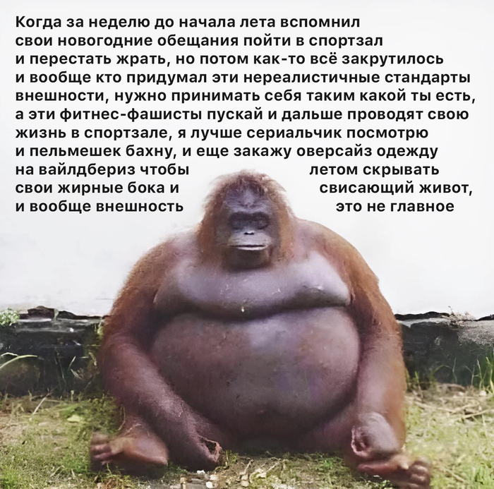 Skoof vibe