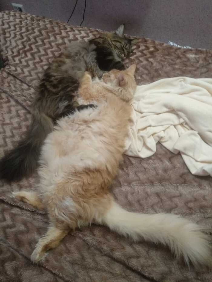 �������� ���������, �� ������ � �������, ���� � ���� ������ ������� �� �����������