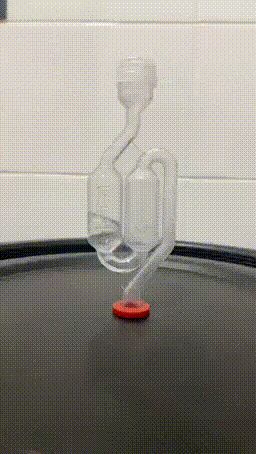   100    ,   , , , ,  , , , 