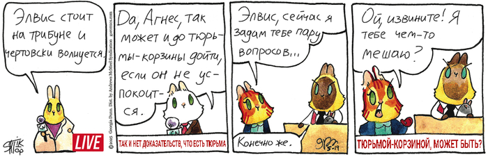 Котейкины Новости от 19.05.2025