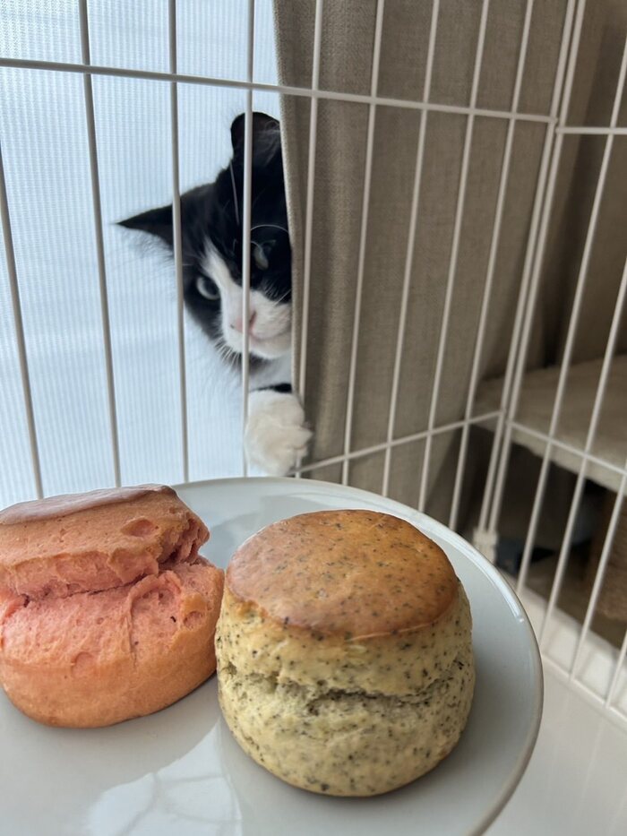 Я и полночь