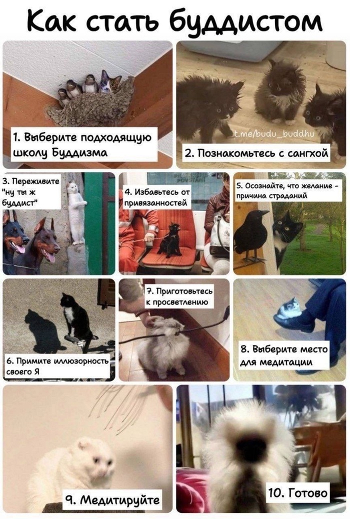    , , , 