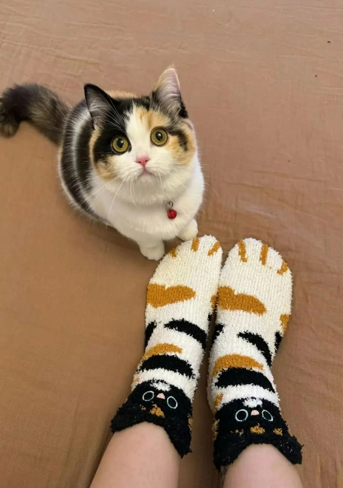 Хозяин, вот что это такое?)