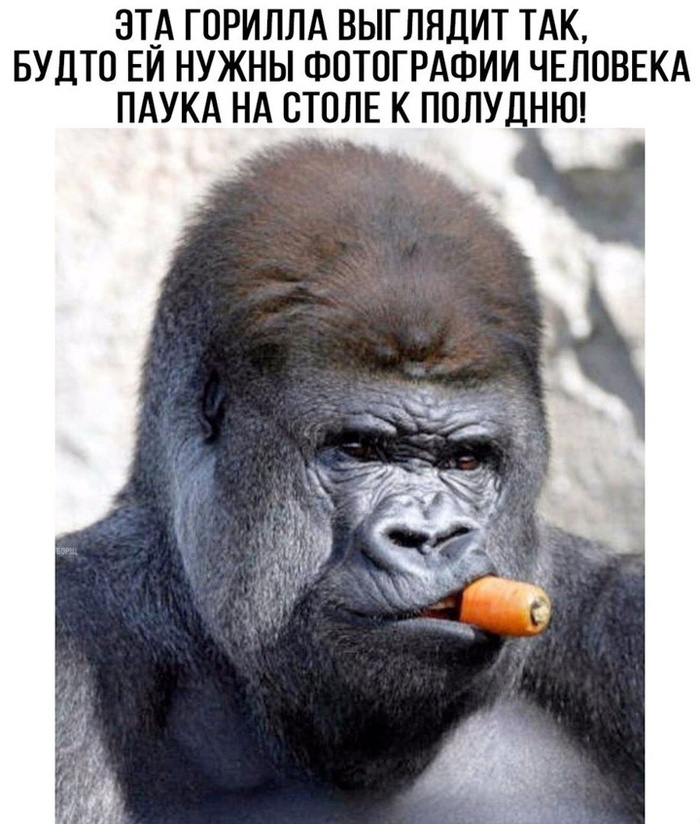   , , , ,   , 