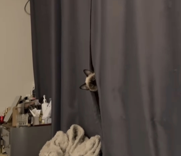   - ! ,  , , , , , , ,   , 