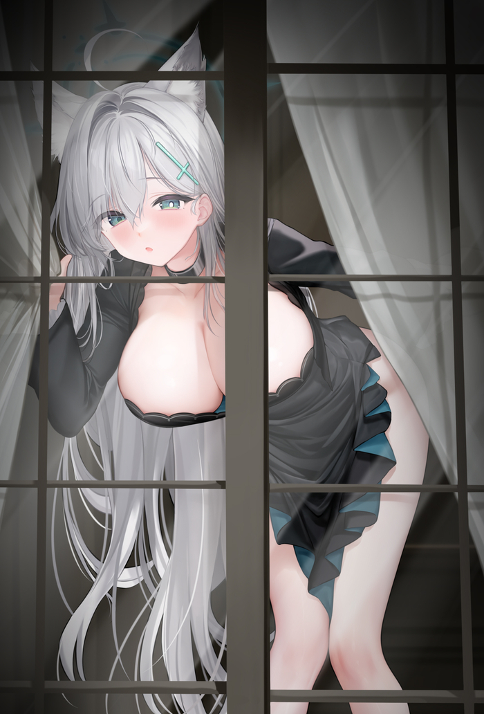 Windows Anime Art, , Blue Archive, Shiroko Terror, Animal Ears,  