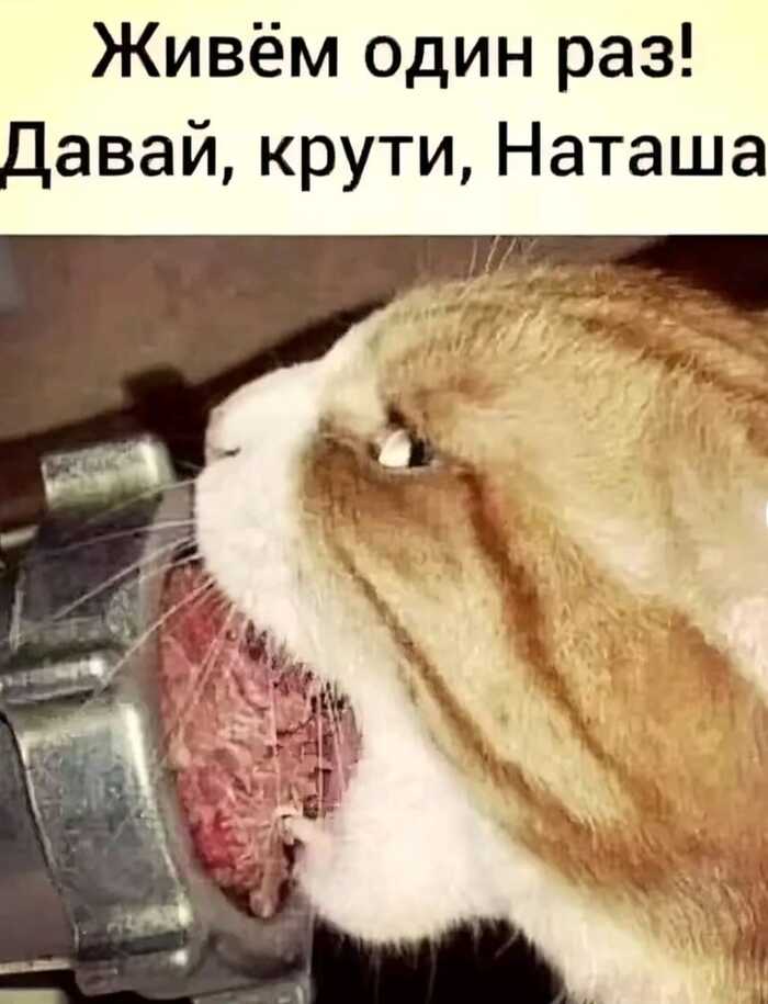  !   , , , , , ,  