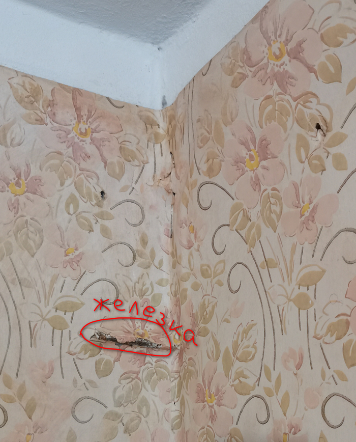 торчащая железка