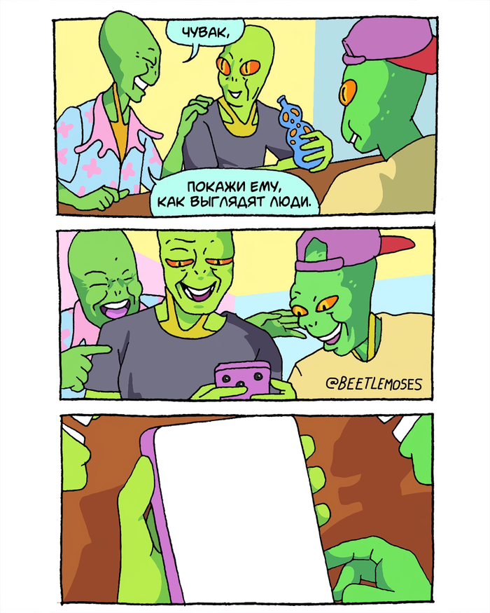       , , , , Beetlemoses, , ,  ,  (), ,   , 