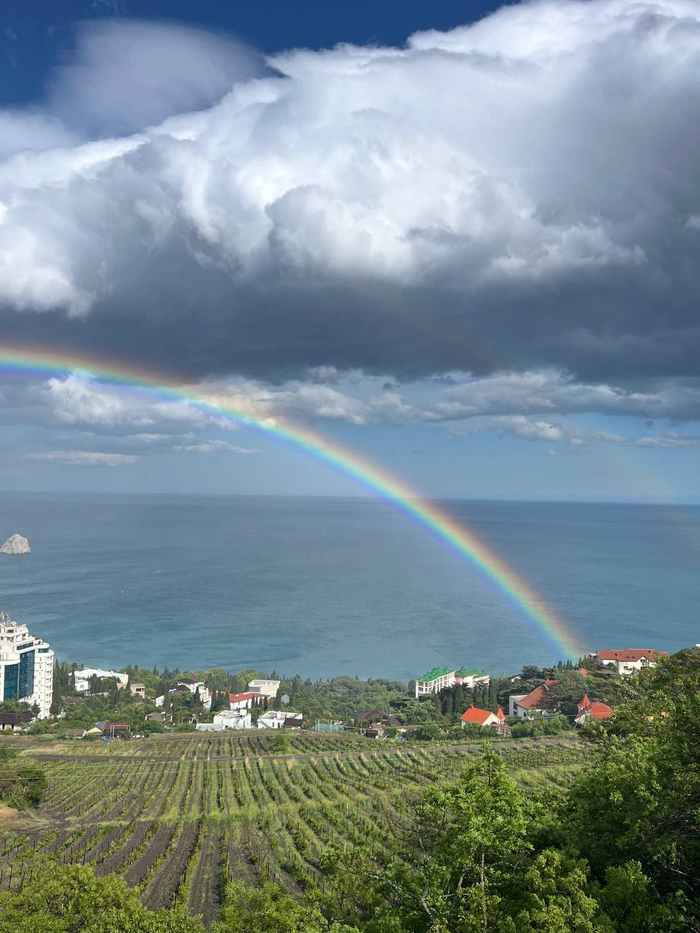 Rainbow , 