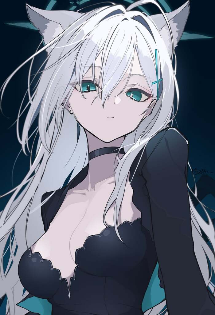 Terror , Anime Art, Blue Archive, Shiroko Terror, Animal Ears