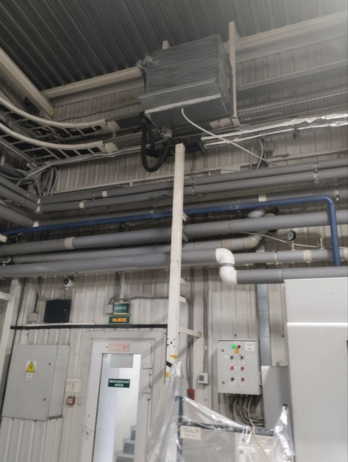 Пока что затянуты плёнкой, жары ещё нет.