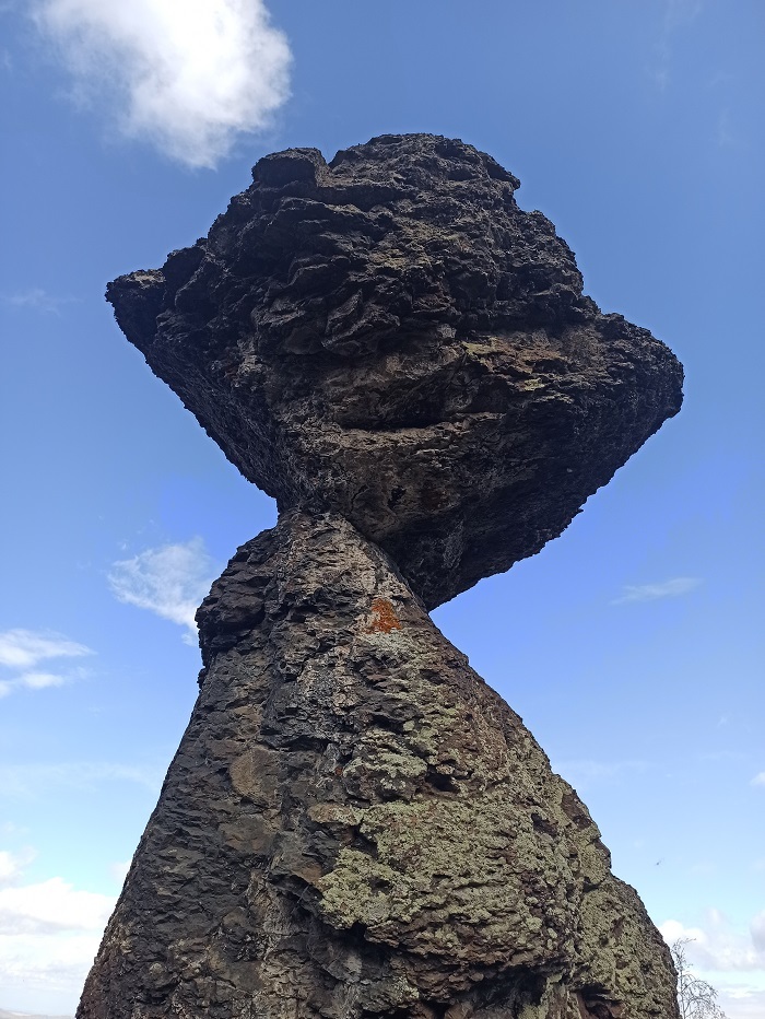 ����� ��������� (�������� ����). ����: ������� ������� 