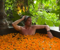 �����������, ����������� � �������