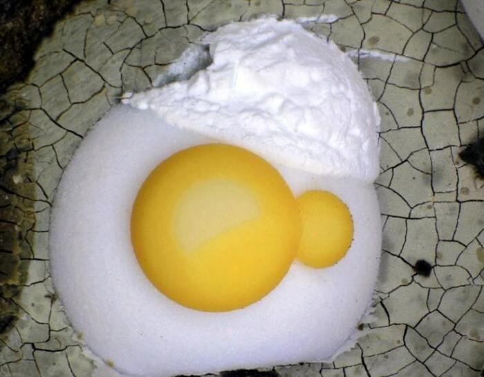      , , , , , , , ,   