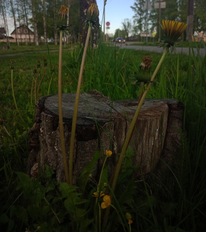 Беэ эффекта