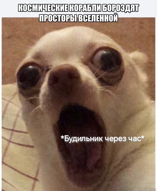 ������ �� ��������