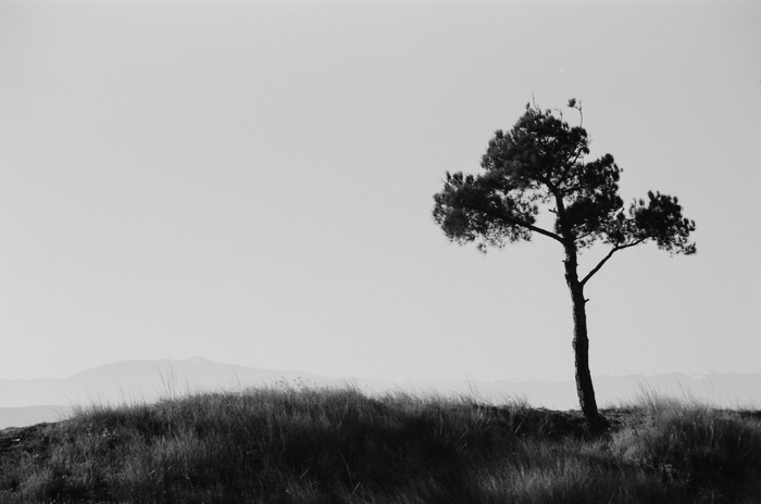 Одиночество. 70-210/4-5.6, Rollei RPX 25