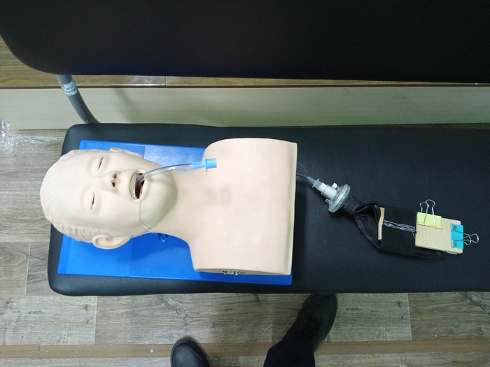  -     .            .