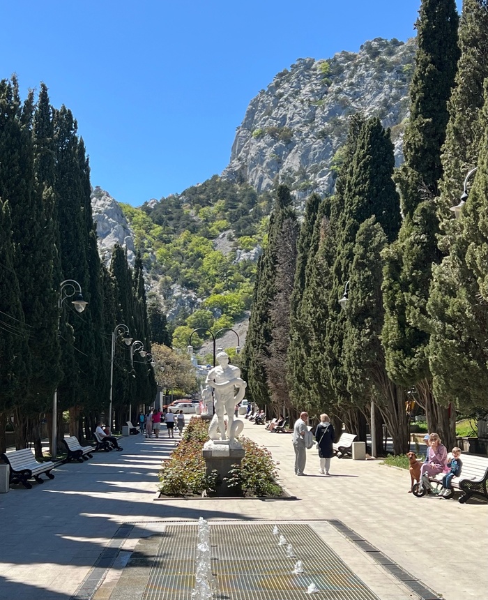 Симеизский парк. Вот так накачаться - и норм!