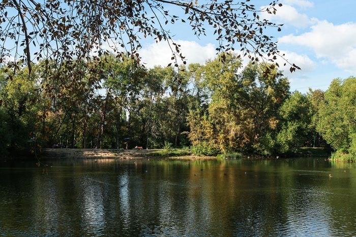 ������������. ������������� ���. ����: ����� ������