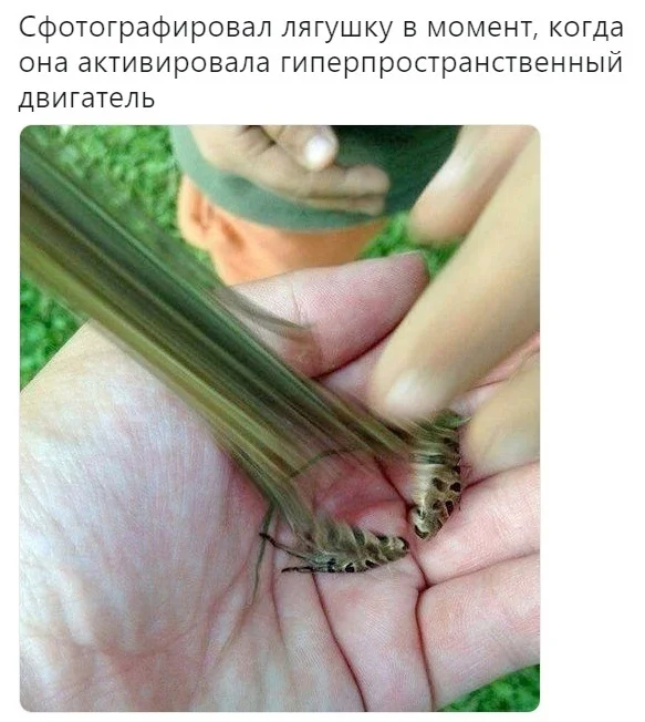 mrwrdb7o.webp