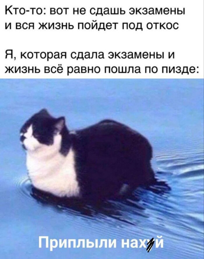   ,  ,   , ,  ,  , , , , , Telegram (), 